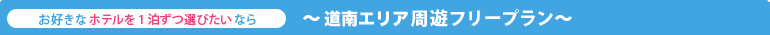 道南エリア周遊フリープラン