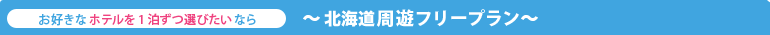 北海道周遊フリープラン