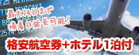 格安航空券+ホテル1泊付