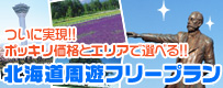 ぽっきり北海道周遊フリープラン