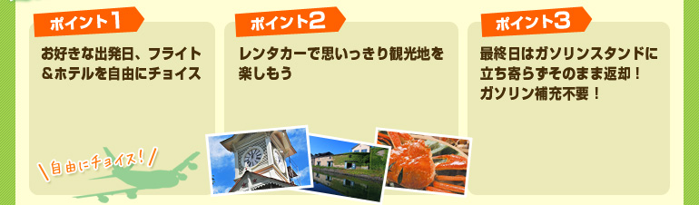 ツアーのポイント