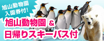 旭山動物園&スキー特集