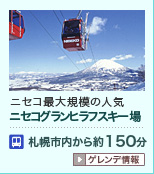 マウントレースイ