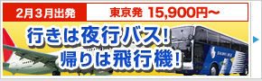 行きは夜行バス！帰りは飛行機！関西周遊フリープラン