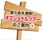 屋久島を満喫！オプショナルツアーのご案内
