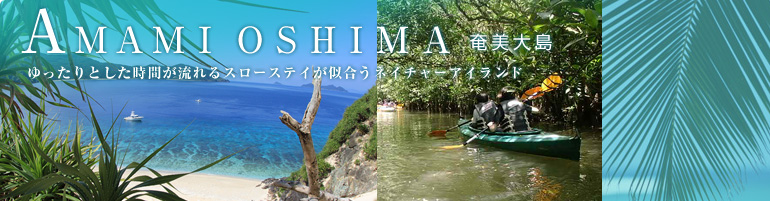 奄美大島