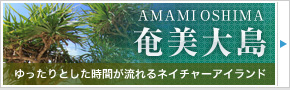 奄美大島旅行