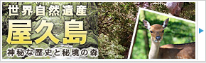 屋久島