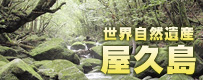 屋久島旅行特集