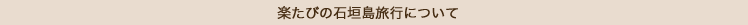 楽たび石垣島旅行について