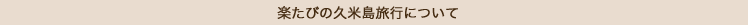 楽たび久米島旅行について