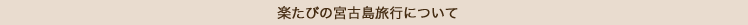 楽たび宮古島旅行について