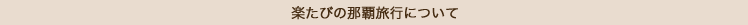 楽たび那覇旅行について