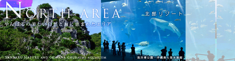北部リゾート