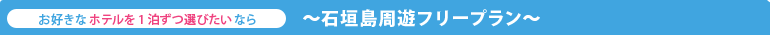 石垣周遊フリープラン