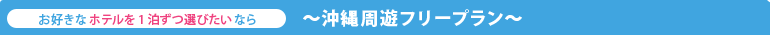 沖縄周遊フリープラン