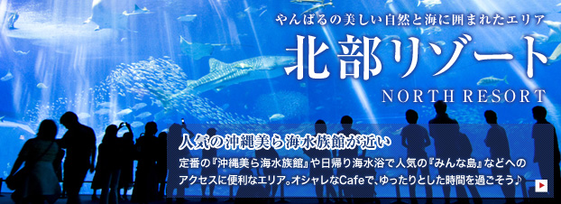 北部リゾート