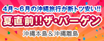 ぶっちぎり沖縄!!ザ・バーゲン