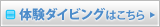体験ダイビングはこちら