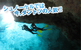 シュノーケルでは今ダントツの人気!!