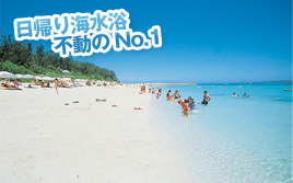 日帰り海水浴不動のNo.1