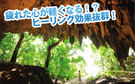 疲れた心が軽くなる!?ヒーリング効果抜群!
