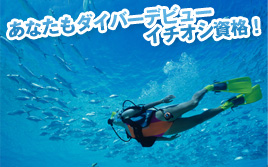 あなたもダイバーデビューイチオシ資格!