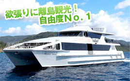 欲張りに離島観光!自由度No.1
