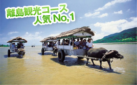 離島観光コース人気No,1