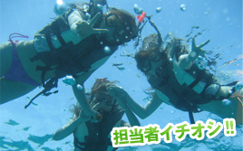 担当者イチオシ