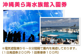 沖縄美ら海水族館入園券付き