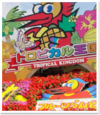 OKINAWAフルーツらんど入園券付き