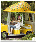 ナゴパイナップルパーク入園＋パイナップル号乗車付き