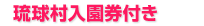 琉球村入園券付き