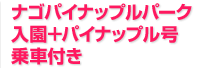 ナゴパイナップルパーク入園＋パイナップル号乗車付き