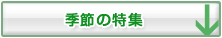 季節の特集