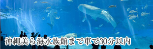 沖縄美ら海水族館周辺ホテル