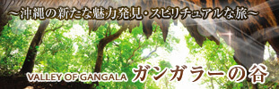 ガンガラーの谷ツアー付特集