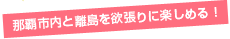 那覇市内と離島を欲張りに楽しめる！