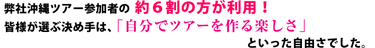 弊社沖縄ツアー参加者の約6割の方が利用!皆様が選ぶ決め手は「自分でツアーを作る楽しさ」といった自由さでした。