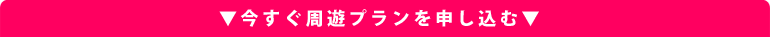 今すぐ周遊プランを申し込む