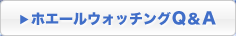 ホエールウォッチングQ&A