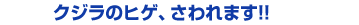 クジラのヒゲ。さわれます！！