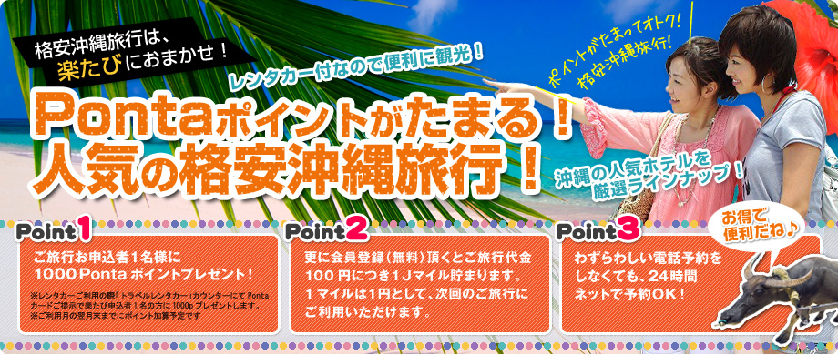 Ponta�|�C���g�����܂�I�l�C�̊i�����ꗷ�s�I