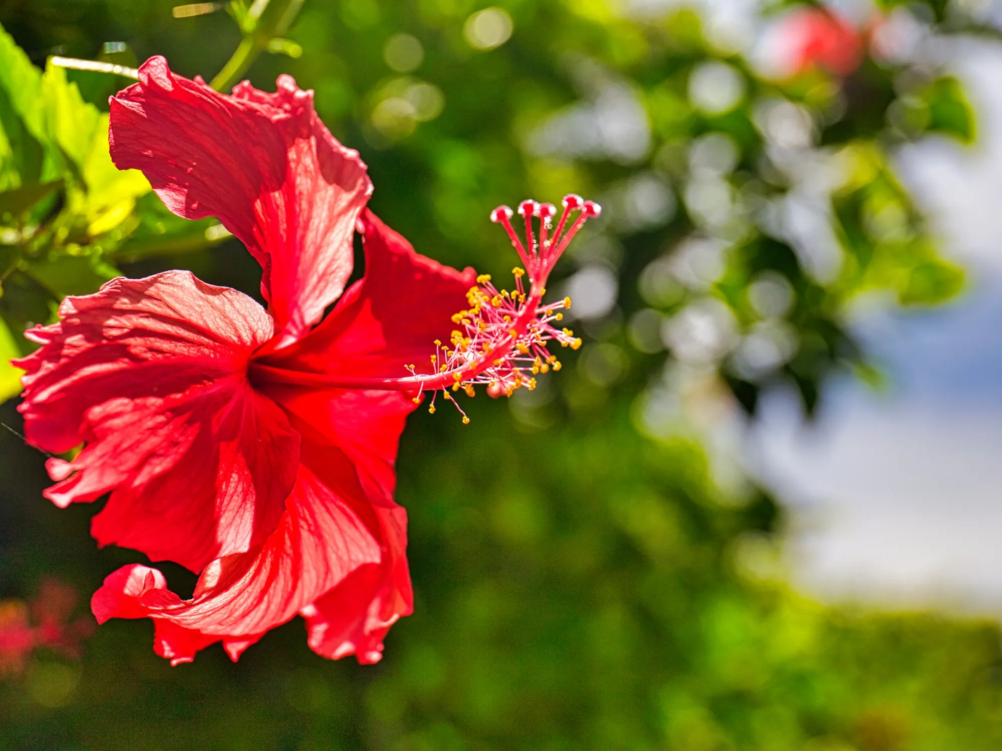 沖縄周遊自由旅行