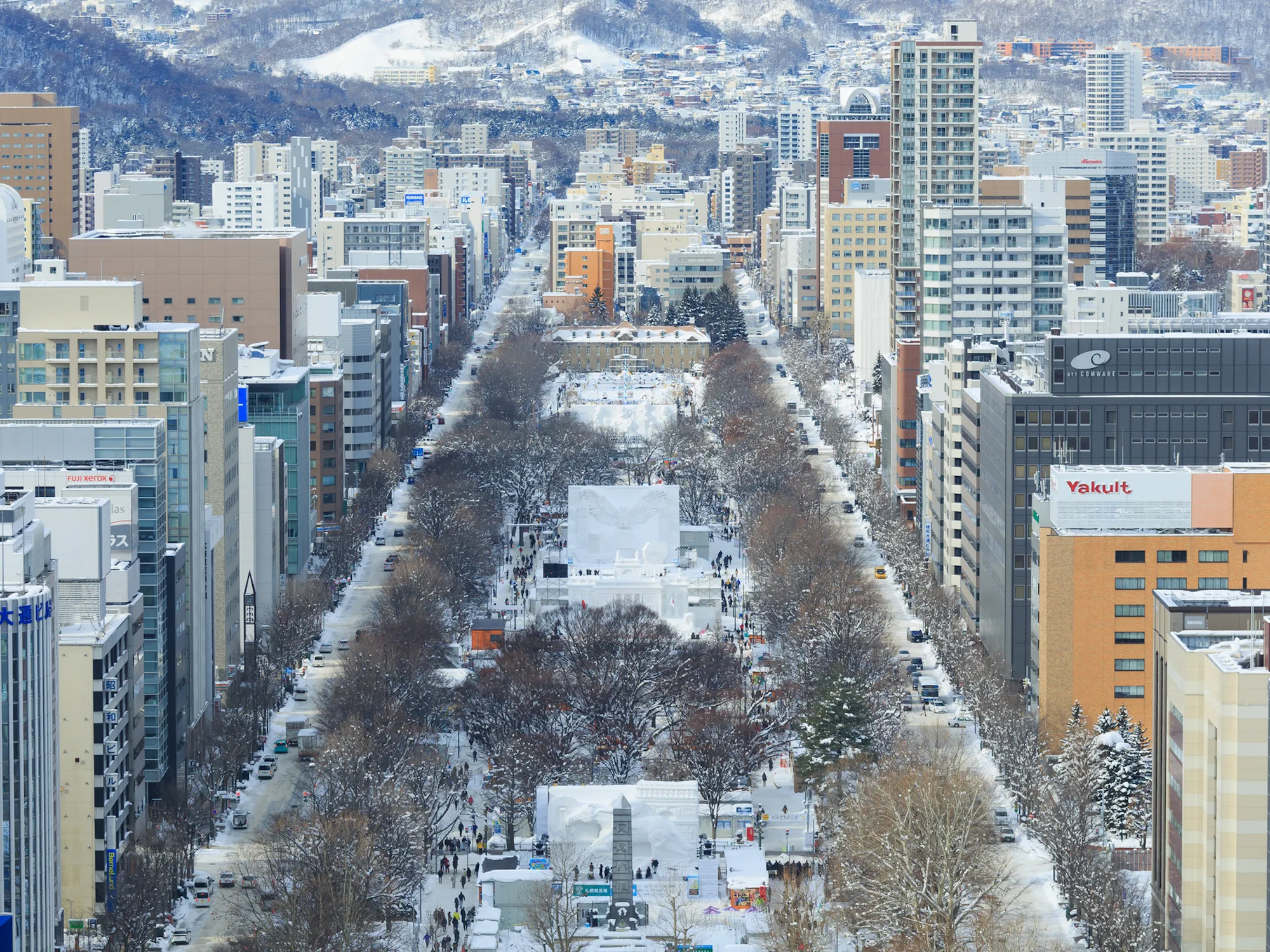 大通会場