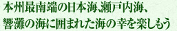 本州最南端の日本海、瀬戸内海、響灘の海に囲まれた海の幸を楽しもう