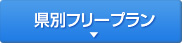 県別フリープラン