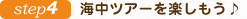 step4　海中ツアーを楽しもう♪