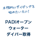 PADIオープンウォーターダイバー取得